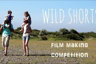 Wild Shorts – SDF Project